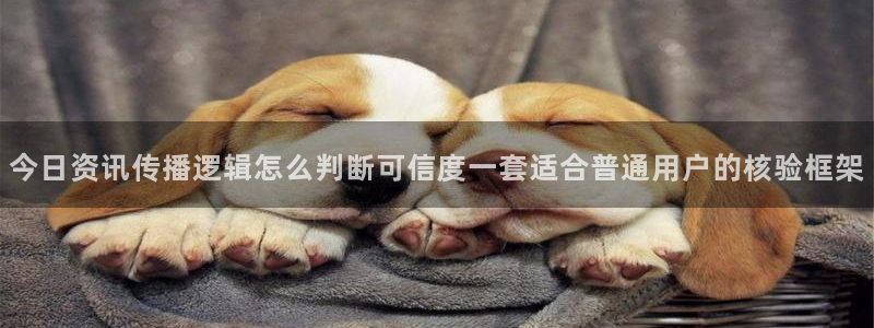 网红黑料最新消息