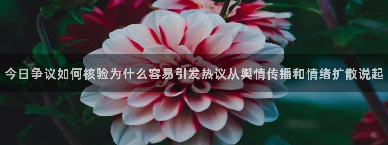黑料爆料后续进展