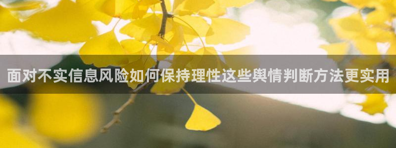 娱乐黑料完整时间线