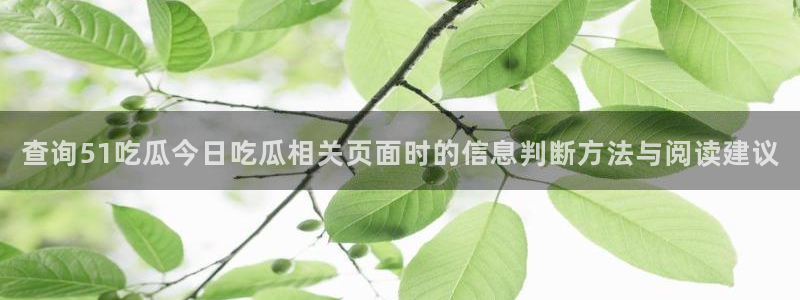 黑料爆料证据梳理