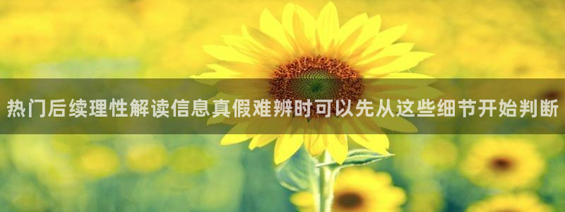 网红黑料信息汇总