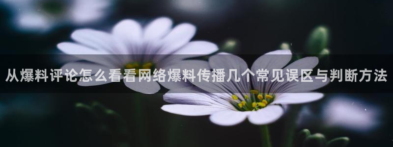 最新黑料今日更新