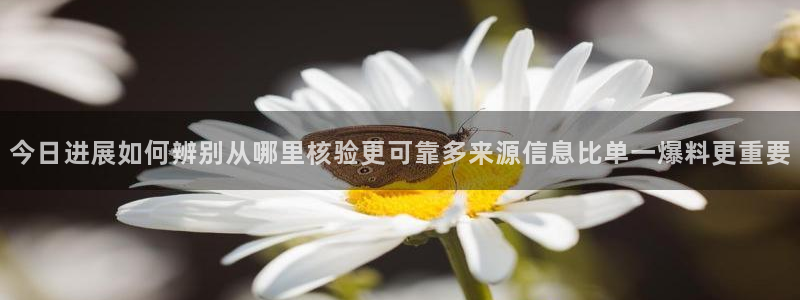 黑料事件信息汇总