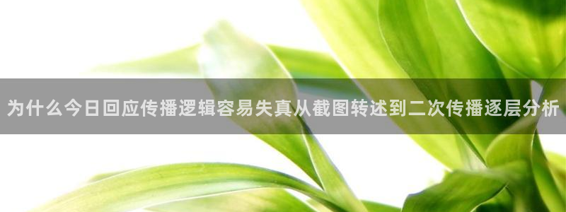 热门黑料事件始末
