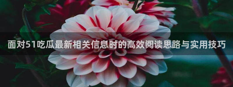 主播黑料今日更新